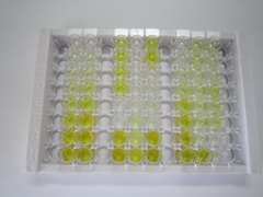 ELISA Kit for Cytochrome C Oxidase Subunit I (COX1)