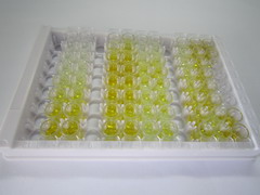 ELISA Kit for Cytochrome C Oxidase Subunit II (COX2)