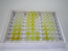 ELISA Kit for Cytochrome P450 2B6 (CYP2B6)