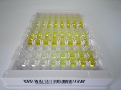 ELISA Kit for Interleukin 17C (IL17C)