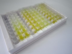 ELISA Kit for Hexokinase 2 (HK2)