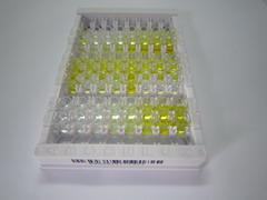 ELISA Kit for Slit Homolog 3 (Slit3)