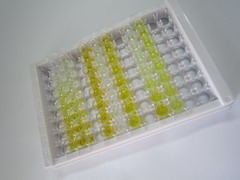 ELISA Kit for Neuroserpin (NSP)