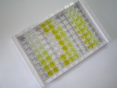 ELISA Kit for Leukocyte Elastase Inhibitor (LEI)