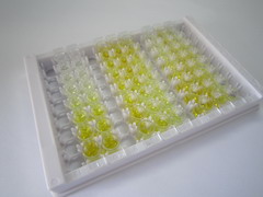 ELISA Kit for Kallistatin (KAL)