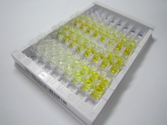 ELISA Kit for Myosin Heavy Chain 4, Skeletal Muscle (MYH4)