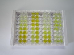 ELISA Kit for Myosin Heavy Chain 7, Cardiac Muscle, Beta (MYH7)