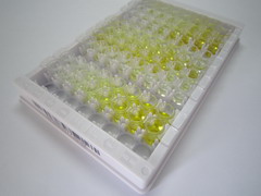 ELISA Kit for Myosin Light Chain 9, Regulatory (MYL9)