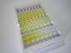 ELISA Kit for Glucagon Like Peptide 1 Receptor (GLP1R)