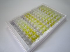 ELISA Kit for Fucosidase Alpha L2, Plasma (FUCa2)