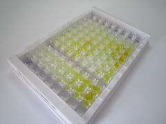 ELISA Kit for Protein Tyrosine Phosphatase Like Protein A (PTPLA)