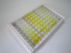 ELISA Kit for ATP Binding Cassette Transporter B5 (ABCB5)