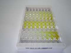 ELISA Kit for 3-Hydroxy-3-Methylglutaryl Coenzyme A Reductase (HMGCR)