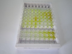 ELISA Kit for Regulator Of G Protein Signaling 5 (RGS5)