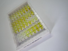 ELISA Kit for Apolipoprotein A1 Binding Protein (APOA1BP)