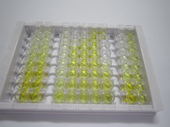 ELISA Kit for Glutamine synthetase (GS)