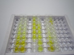 ELISA Kit for Arginase II (Arg2)