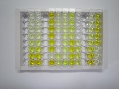 ELISA Kit for Thrombospondin 2 (THBS2)