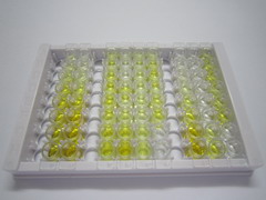 ELISA Kit for Thrombospondin 4 (THBS4)