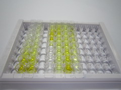 ELISA Kit for Phospholipase A2, Group IIA (PLA2G2A)