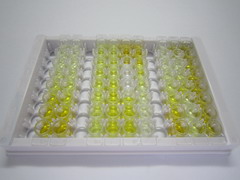 ELISA Kit for Phospholipase A2, Group V (PLA2G5)