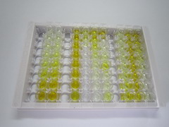 ELISA Kit for Phospholipase A2 Receptor 1 (PLA2R1)