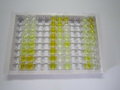 ELISA Kit for Phosphoserine Aminotransferase 1 (PSAT1)