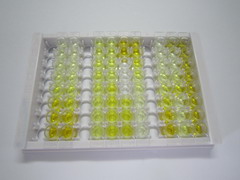 ELISA Kit for Proline Rich Protein 4, Lacrimal (PRR4)