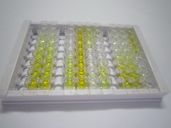 ELISA Kit for Insulin Like Growth Factor Binding Protein, Acid Labile Subunit (IGFALS)