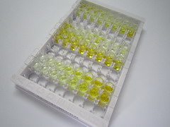 ELISA Kit for Sialic Acid Binding Ig Like Lectin 6 (SIGLEC6)