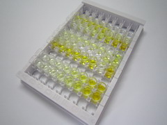 ELISA Kit for RAR Related Orphan Receptor Alpha (RORa)