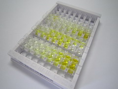 ELISA Kit for Pregnane X Receptor (PXR)