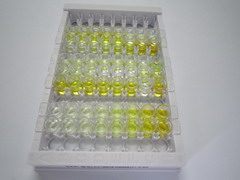 ELISA Kit for Adrenergic Receptor Beta 3 (ADRb3)