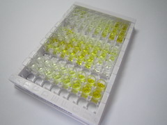 ELISA Kit for Dimethylarginine Dimethylaminohydrolase 1 (DDAH1)