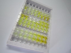 ELISA Kit for Cathepsin G (CTSG)