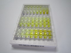 ELISA Kit for Ephrin A5 (EFNA5)