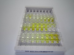 ELISA Kit for Ephrin Type A Receptor 3 (EPHA3)