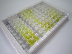 ELISA Kit for Matrilin 4 (MATN4)