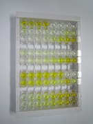 ELISA Kit for Farnesyl Diphosphate Synthase (FDPS)