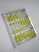 ELISA Kit for Lipase H (LIPH)