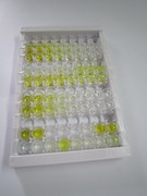 ELISA Kit for Colipase, Pancreatic (CLPS)