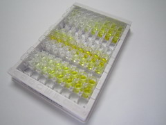 ELISA Kit for Proprotein Convertase Subtilisin/Kexin Type 9 (PCSK9)