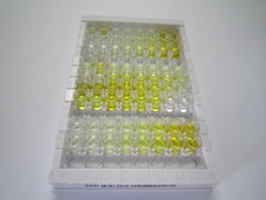 ELISA Kit for Sarcoglycan Delta (SGCd)