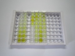 ELISA Kit for Spleen Tyrosine Kinase (SYK)