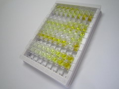 ELISA Kit for Protein Tyrosine Kinase 6 (PTK6)