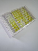 ELISA Kit for Rho GDP Dissociation Inhibitor Alpha (ARHGDIa)