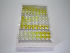 ELISA Kit for Solute Carrier Family 3, Member 2 (SLC3A2)