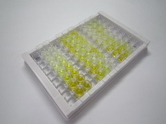 ELISA Kit for High Affinity Choline Transporter (ChT)