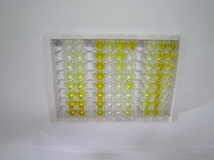 ELISA Kit for Taurine Transporter (TAUT)