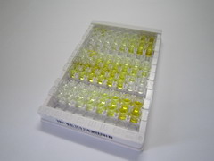 ELISA Kit for Divalent Metal Transporter 1 (DMT1)